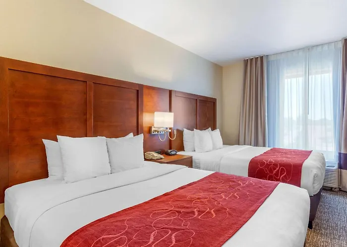 Hotel Comfort - State Farm Stadium Area