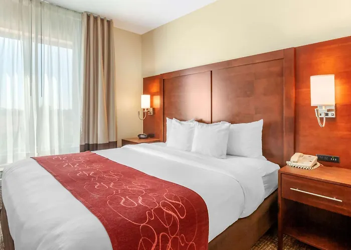 Comfort - State Farm Stadium Area Hotel 4*