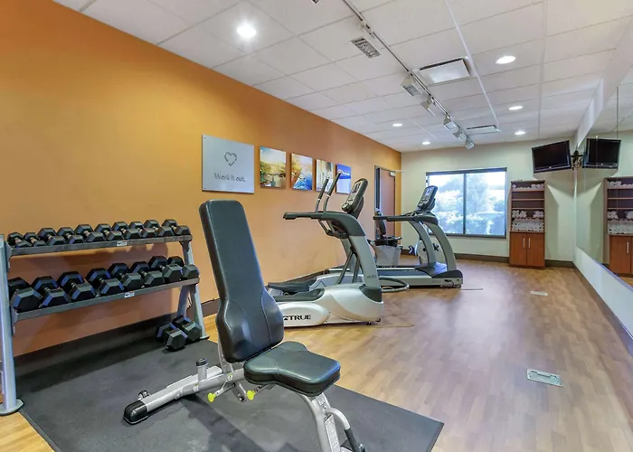 Hotel Comfort - State Farm Stadium Area 4*