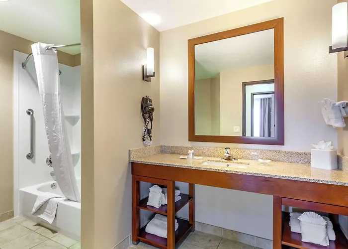 Comfort - State Farm Stadium Area Hotel